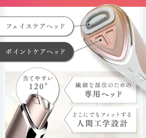 ボーテ・ヤヌスのツインヘッドの説明写真