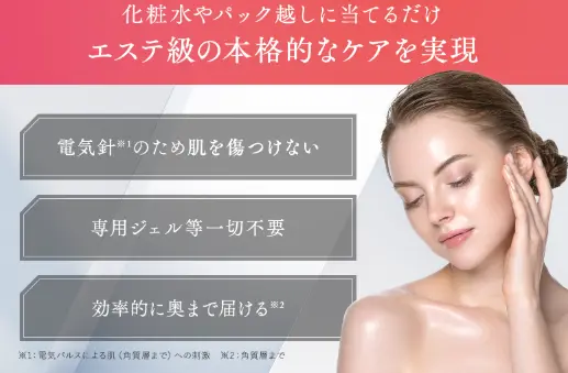 ボーテ・ヤヌスの特徴の説明写真