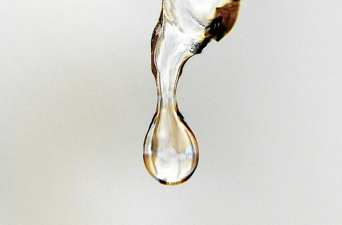 発酵木酢蒸留液のイメージ画像