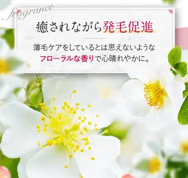 「ふわ姫」の香りの良さを示す画像