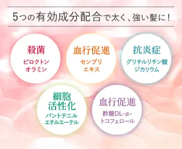 「ふわ姫」の5つの有効成分を説明する画像