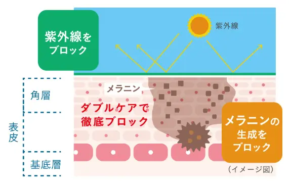 特許成分「ニュートロックスサン」がダブルケアでお肌を紫外線から守るイメージ図